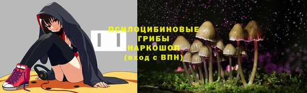 прущие крисы Армянск