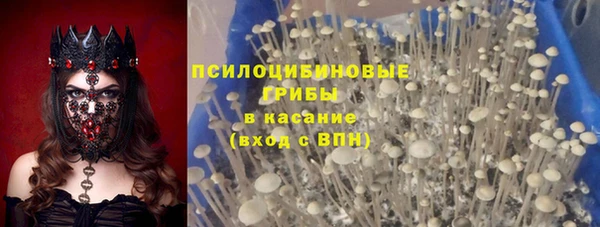 прущие крисы Армянск
