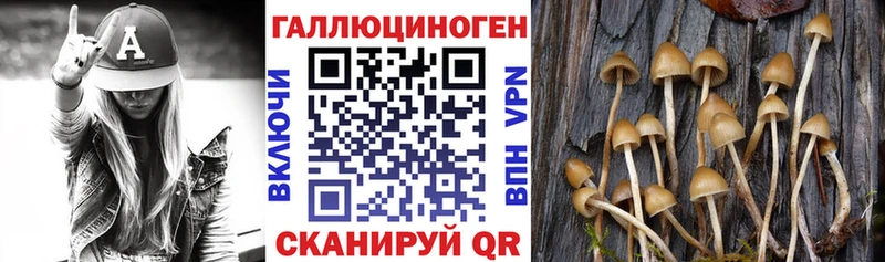продажа наркотиков  Баксан  Галлюциногенные грибы мухоморы 