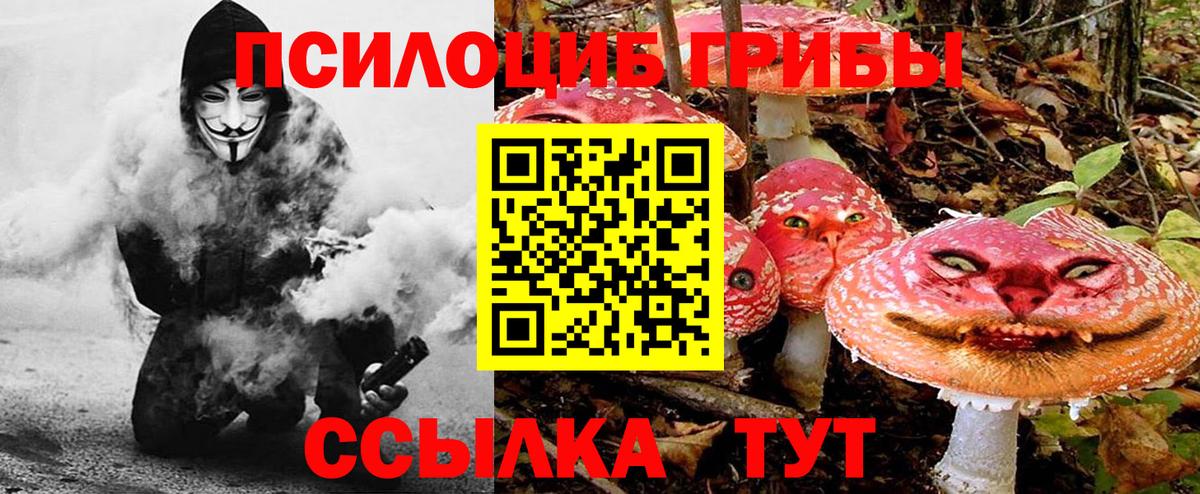 Псилоцибиновые грибы Magic Shrooms Баксан