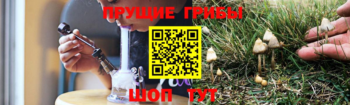 Баксан  Галлюциногенные грибы GOLDEN TEACHER  Псилоцибиновые грибы мухоморы  наркота  Вход с VPN 
