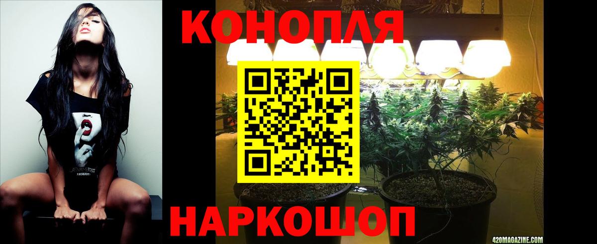 Конопля марихуана Баксан